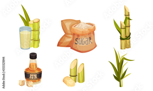 Sugar Cane Unbranched Stems with Leaves and Superfood like Brown Granulated Sugar Vector Set