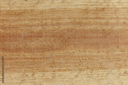 Freshly sawn wood plank texture