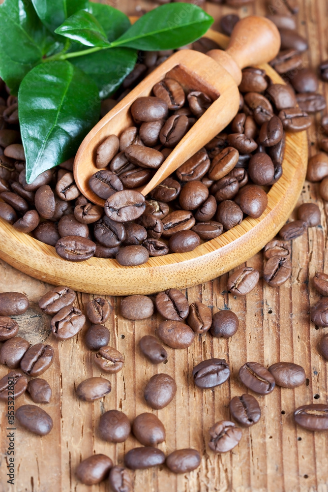 Fototapeta premium Roasted coffee beans with green leaves