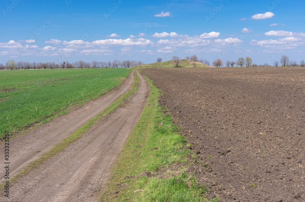 Spring landscape with an earth road leading to an ancient burial mound burial mound between agricultural winter crops fields near Dnipro city in central Ukraine
