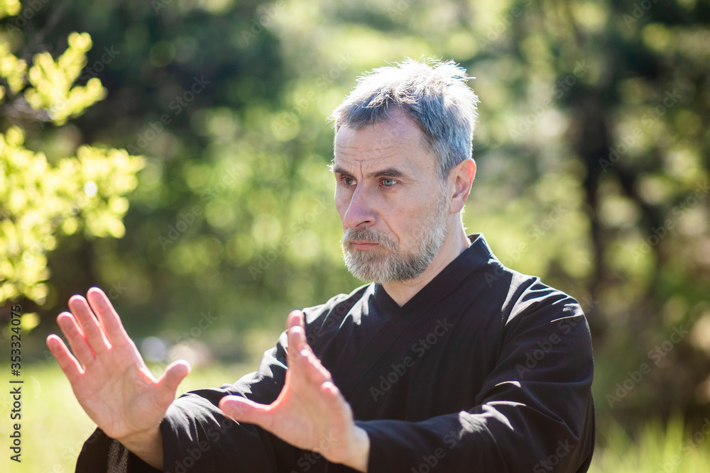 A man martial artist and qigong master practicing tai Chi Taiji Chuan in a Park A man martial artist and qigong master practicing tai Chi Taiji Chuan in a Park