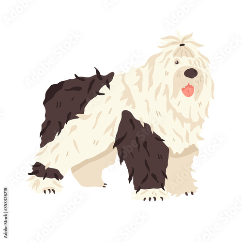 Cute big dog Bobtail. Animal flat vector illustration. Long haired breed pet grooming fan. Good for online stickers, guide, manual, encyclopedia.