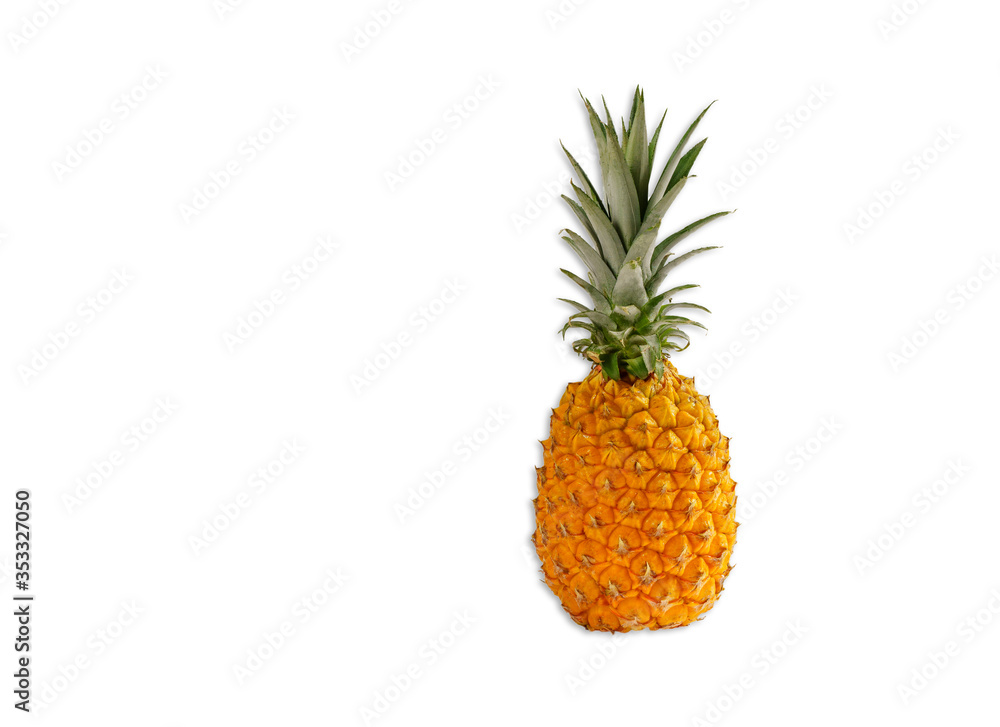 Pineapple with leaves and sliced isolated on white background. Pineapple with leaves and sliced isolated on white background.