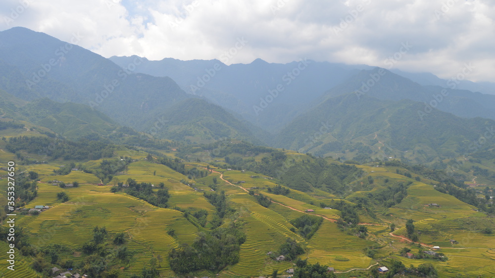 Looking over Gorgeous Green Fields in Sapa, Vietnam