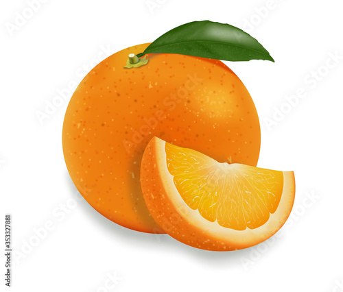 Realistic orange illustration isolated on white background.  Food illustration.