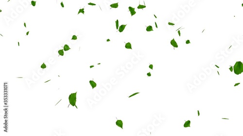Green leaves isolated on white., loop, with matte.