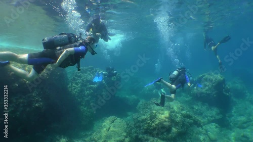 Wallpaper Mural Diving training: group of student divers follow the instructor on their first dive. Torontodigital.ca