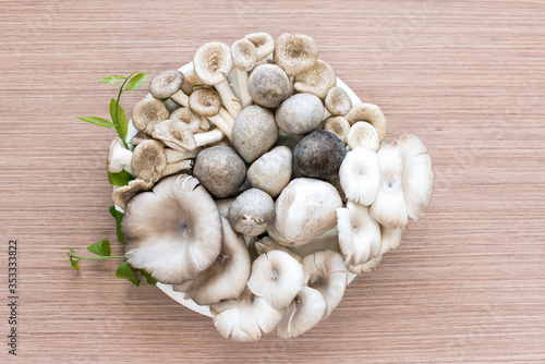 group of mushrooms on a wood background