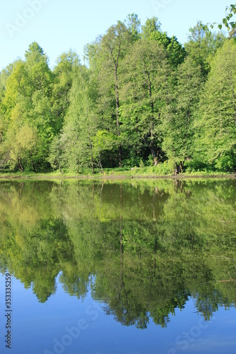 Pond shore in a city forest park