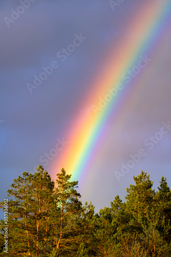 Beautiful rainbow spectrum in the sky after rain. Colourful phenomena in the clouds. Nobody © CrispyMedia