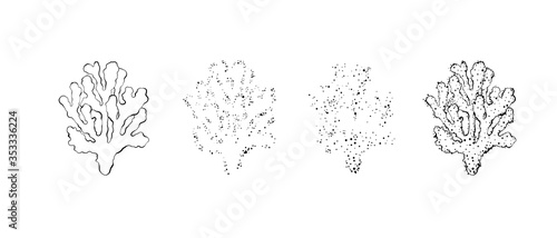 Hand drawn corals constructor. Outline design with dots, spray texture.