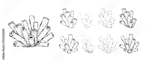 Hand drawn corals constructor. Outline design with dots, spray texture.