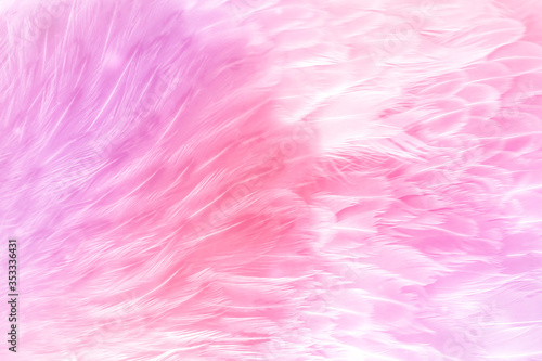 fuzzy textured background for design, with soft pink bird feathers. Tender background, texture
