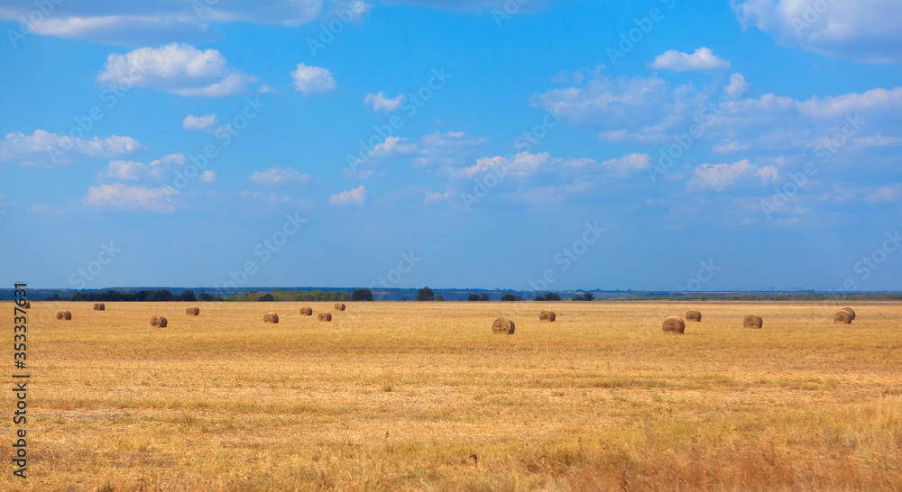 agricultural field with hay bales in the summer