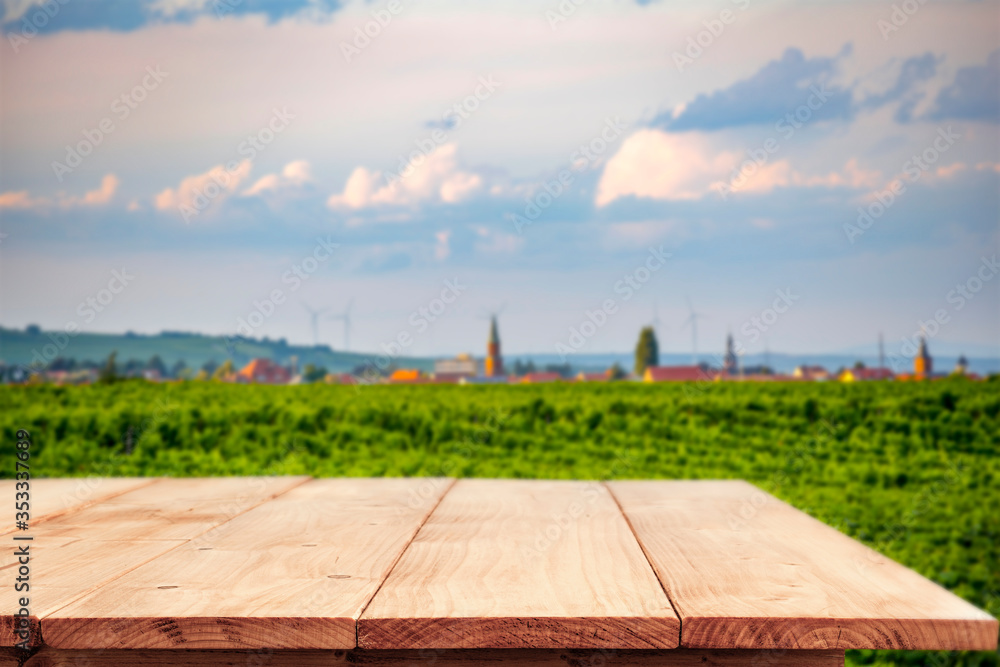 A table in a vineyard in a beautiful holiday sound with the sunset giving an amazing mood A table in a vineyard in a beautiful holiday sound with the sunset giving an amazing mood