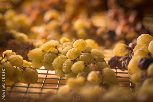dry grape of nosiola in trentino 