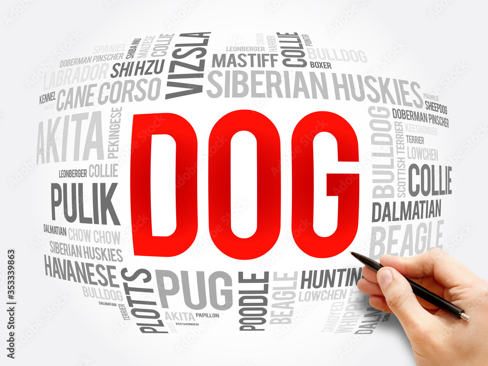 List of most popular dog breeds word cloud, concept background List of most popular dog breeds word cloud, concept background