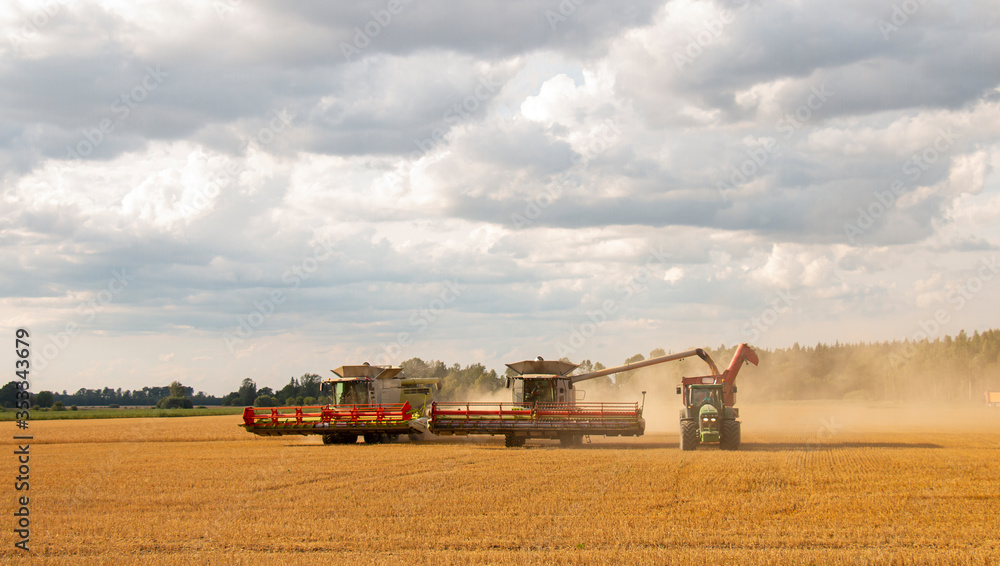 custom made wallpaper toronto digitalTwo combine harvester harvesting machine for ripe golden wheat fields. Agriculture.