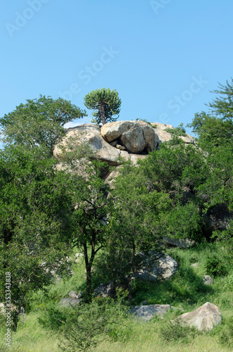 Rochers , Parc national Kruger, Afrique du Sud