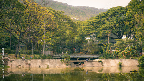 Large, multi-year-old trees around the weir around The reservoir is a place for people to relax and exercise in a park in Chiang Mai.