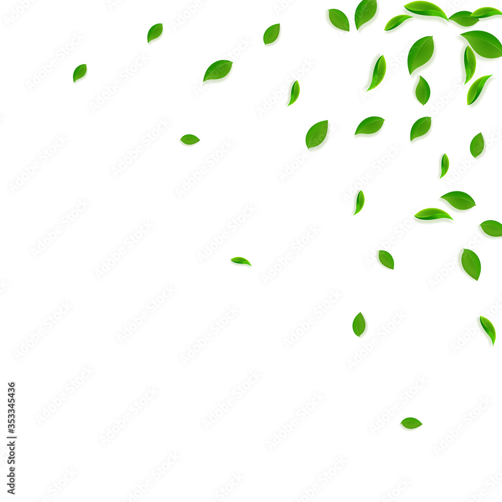 Falling green leaves. Fresh tea chaotic leaves fly Falling green leaves. Fresh tea chaotic leaves fly