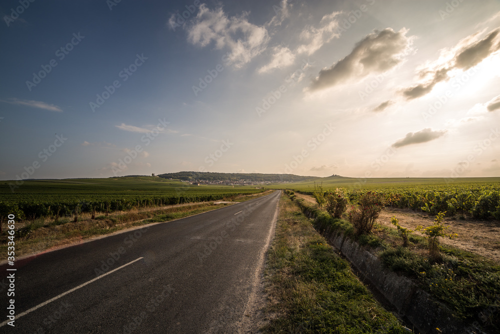 Verzenay in champagne