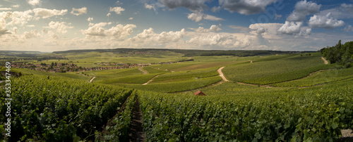 a panorama from hautvillers in champagne region