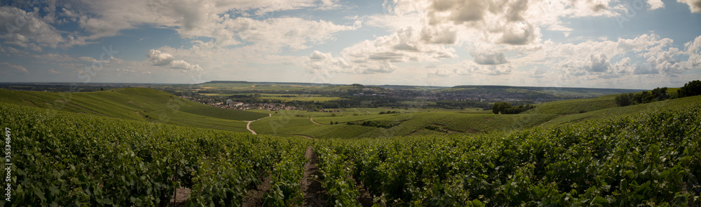 Panorama on the vineyards of Ay Champagne