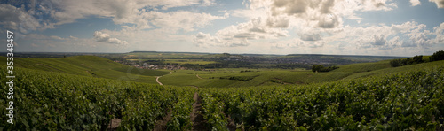 Panorama on the vineyards of Ay Champagne