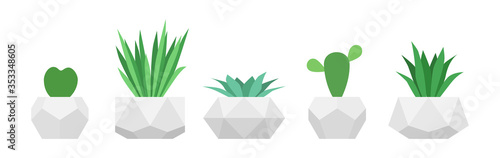 Flowers in trendy geometric pots. Vector set of succulent plants. Home gardening