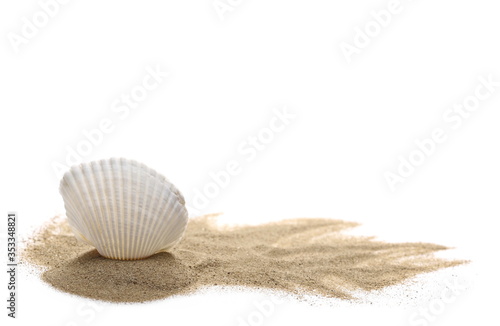 Sand pile with seashell isolated on white background