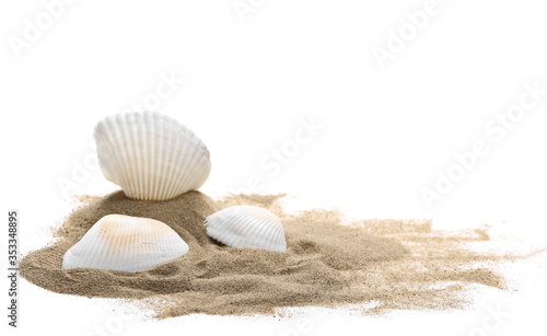 Sand pile with seashells isolated on white background