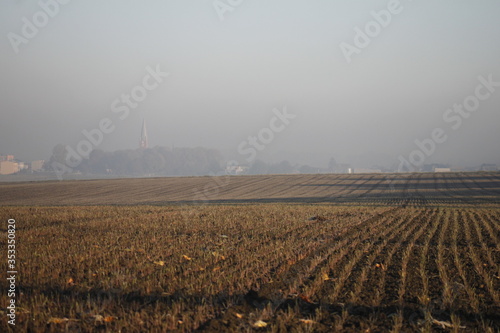 Autumn village landscapes on misty morning