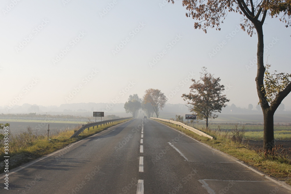 custom made wallpaper toronto digitalAutumn village landscapes on misty morning