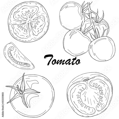 Vector set of black line hand drawn tomatoes isolated on white background