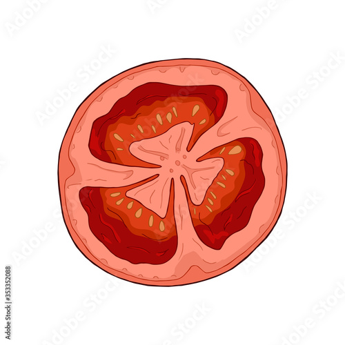 Vector colorful illustration of hand drawn tomato slice isolated on white background