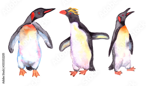 Penguins watercolor isolated on white   background for wallpaper and baby textile