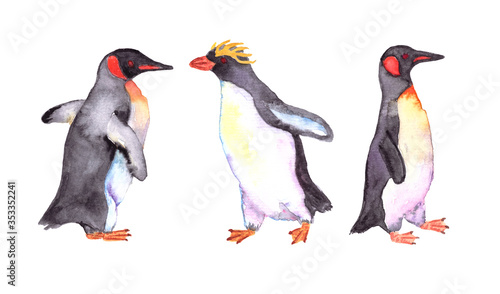 Penguins watercolor isolated on white   background for wallpaper and baby textile
