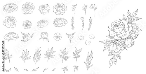 Naklejka Big set of peony flowers and leaves for making tattoo compositions. Black linear illustration isolated on a white background.