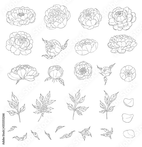 Big set of peony flowers and leaves for making tattoo compositions. Black linear illustration isolated on a white background.