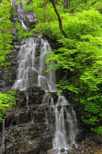 水量の豊富な滝