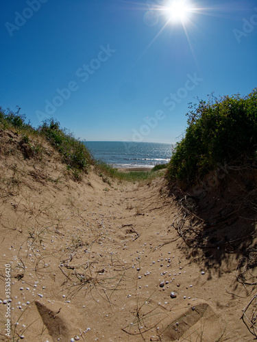 chemin dune pour allez sur plage photo