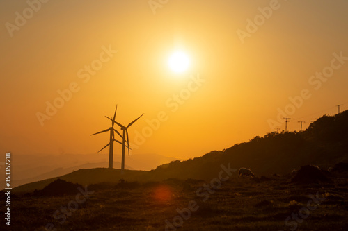 eolic wind generators at sunset photo