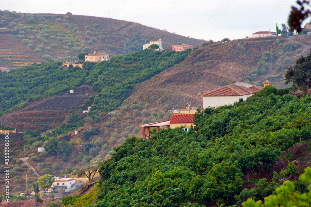 Countryside surrounding the town of Frigiliana, Malaga Province, Axarquia, Andalusia, southern Spain.