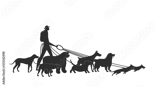 Dogs and man. Different breeds: basset hound, komondor, rhodesian ridgeback, golden retriever, dobermann, weimaraner, dachshund.