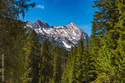 Blick auf Hochwand Gipfel im Gaistal bei Leutasch, Tirol photo