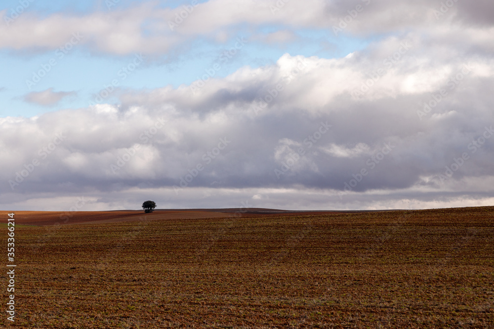 Obraz premium rural landscape in the middle of spain
