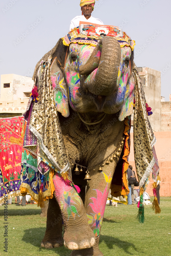 Colorful elephant , festival , Jaipur, Rajasthan, India	