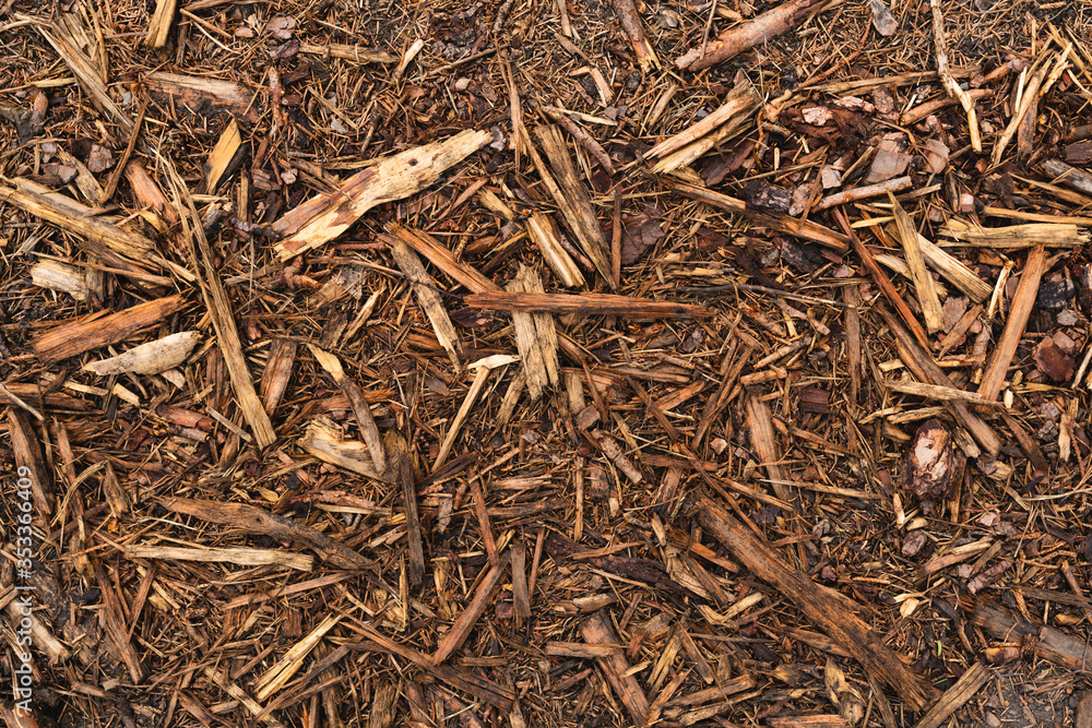 Bark chips, mulch on forest ground, texture background Bark chips, mulch on forest ground, texture background