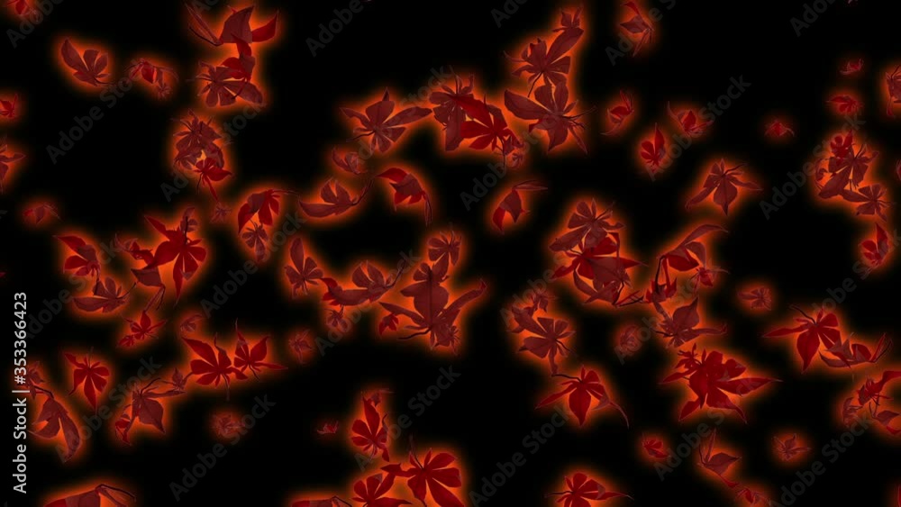 Autumn maple leaves particle loop animation Autumn maple leaves particle loop animation